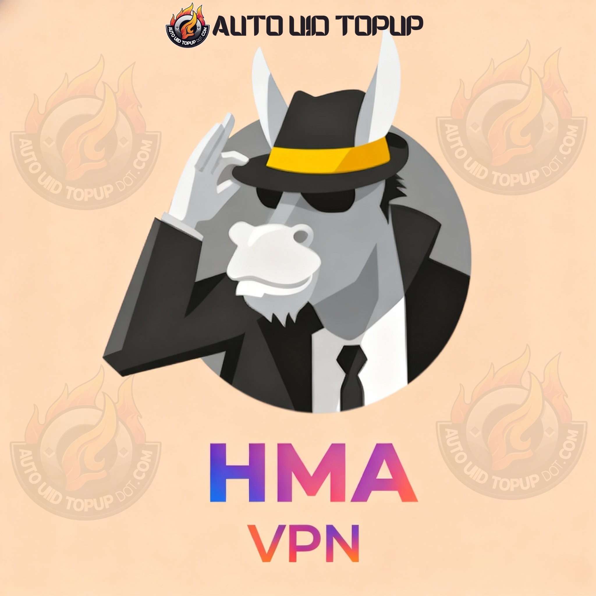 HMA VPN